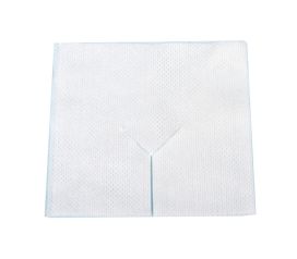 Split Drainage Dressing 10cm X 10cm